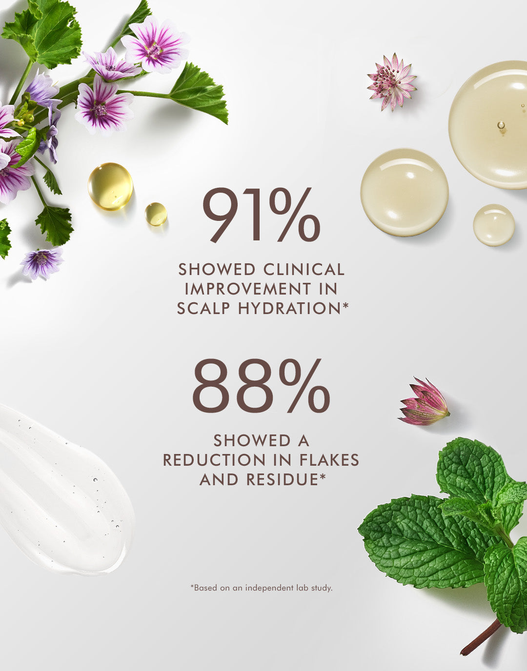 Scalp Balancing Shampoo