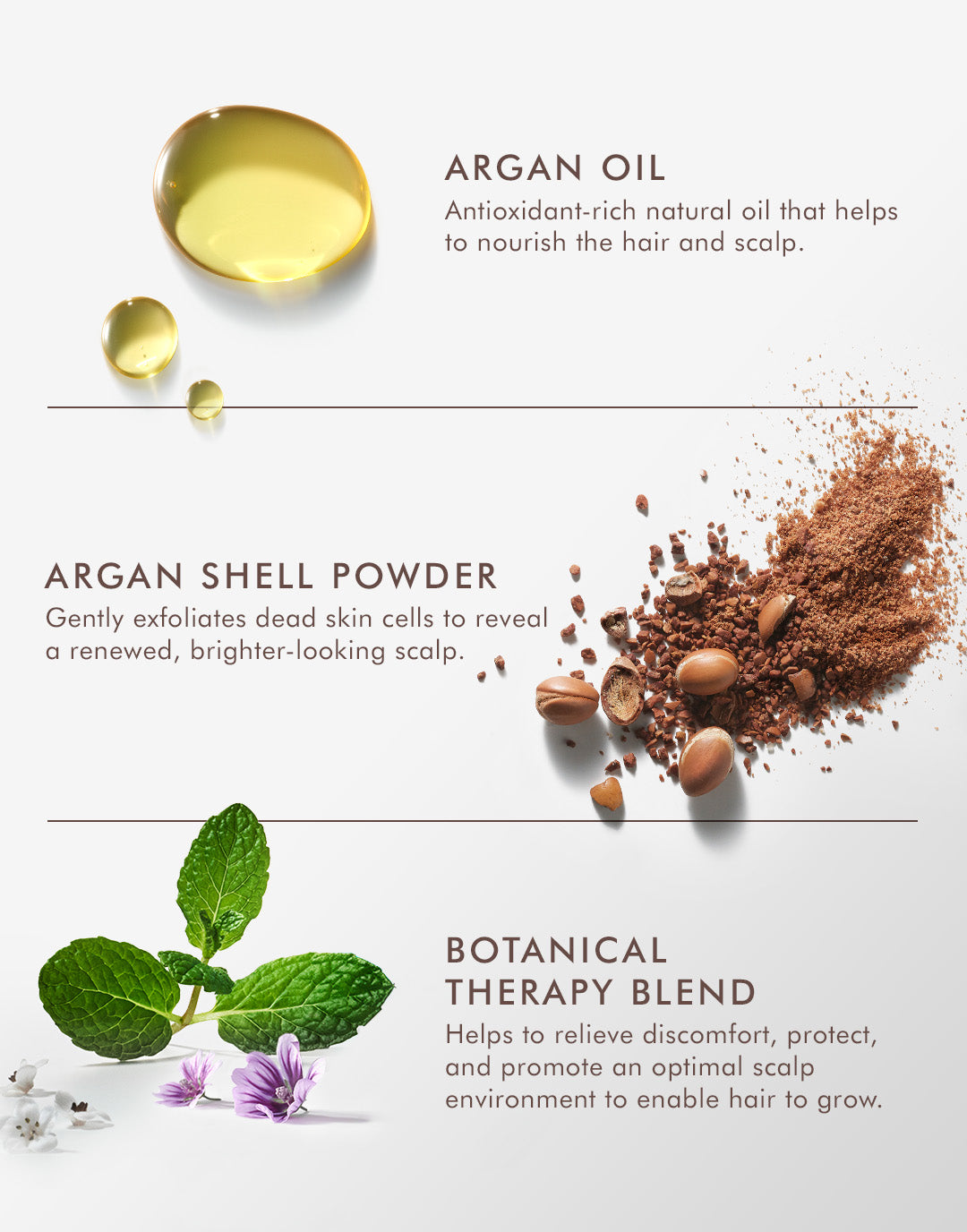 Purifying Scrub