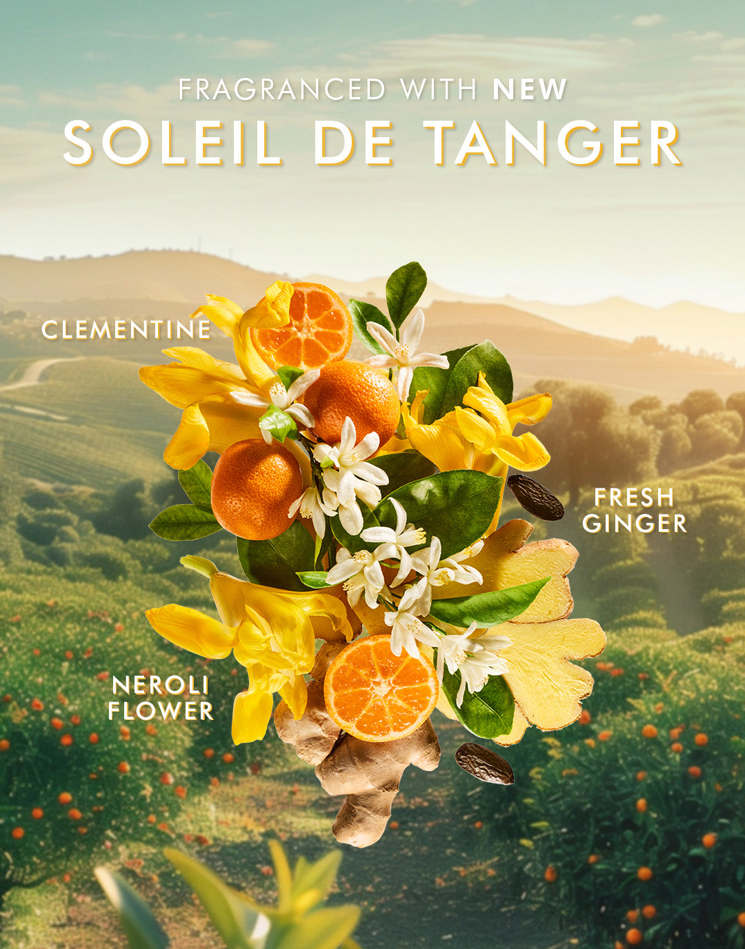 Soleil de Tanger Body Care Set